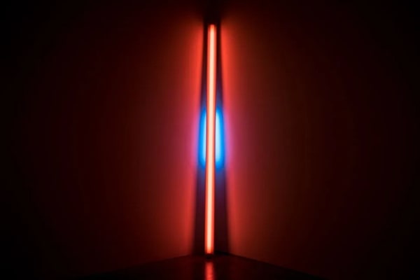 Untitled (to Shirley and Jason) - Dan Flavin